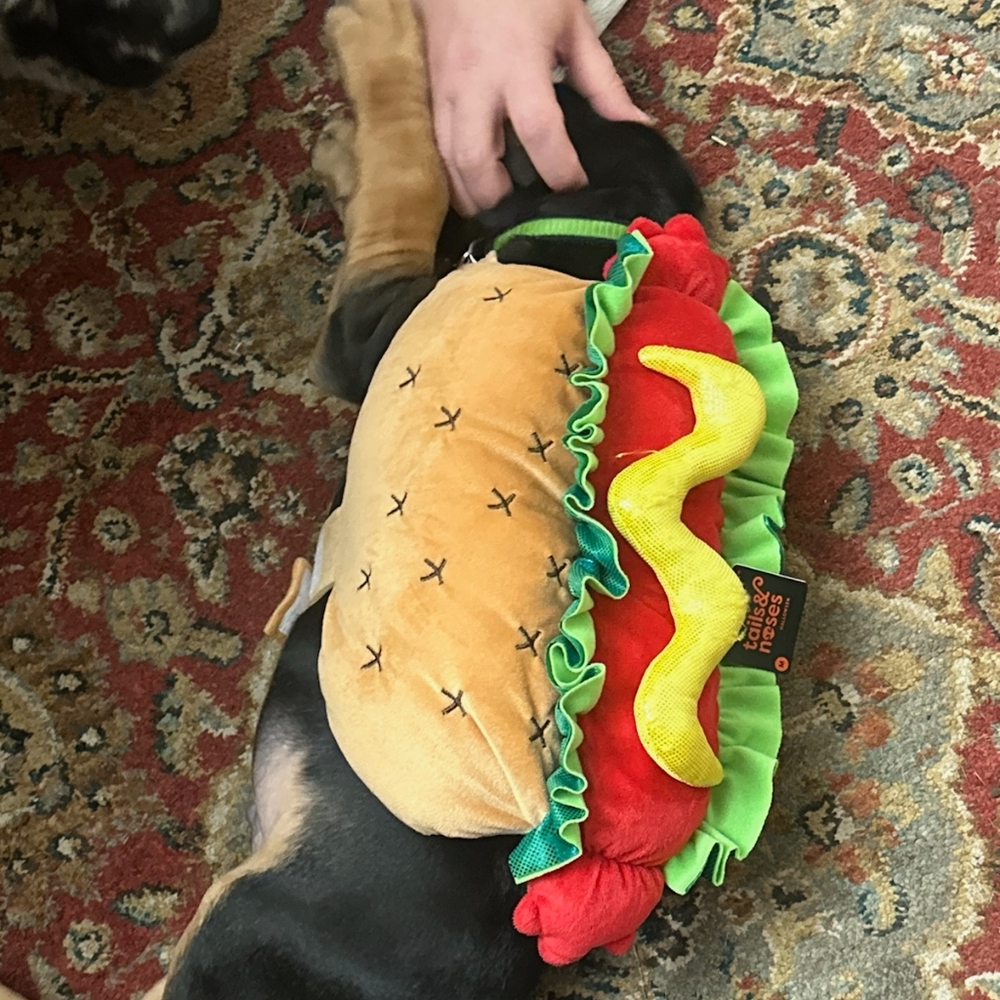 Trail & Noses Hot Dog Costume for Your Dog Size Medium - Picture 5 of 8